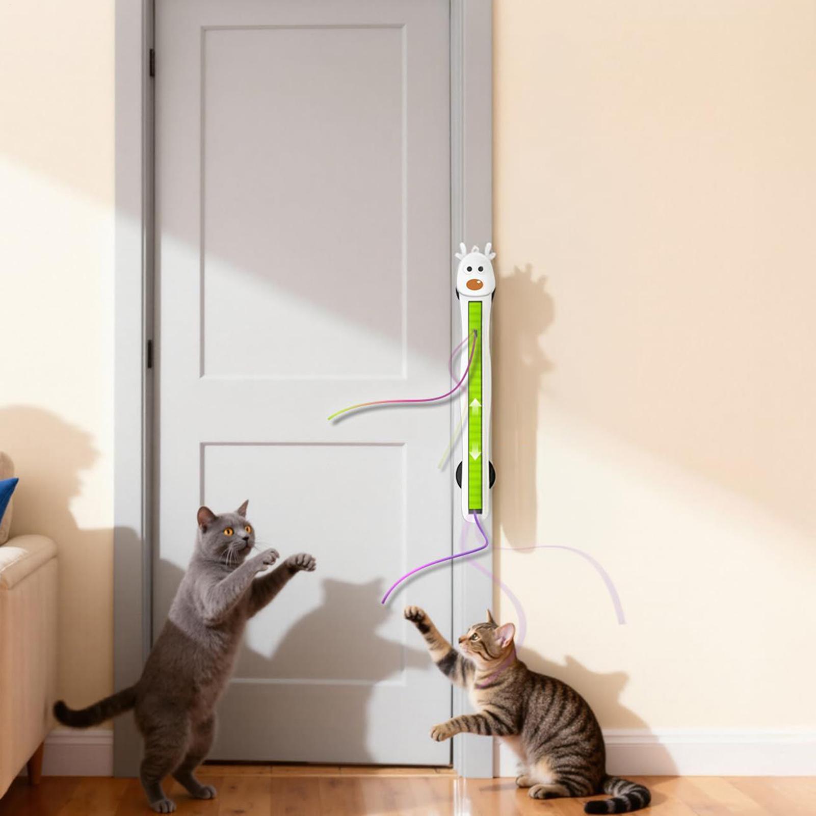 Elektroniczne zabawki dla kota – Smart Home Utensils recenzja i cena