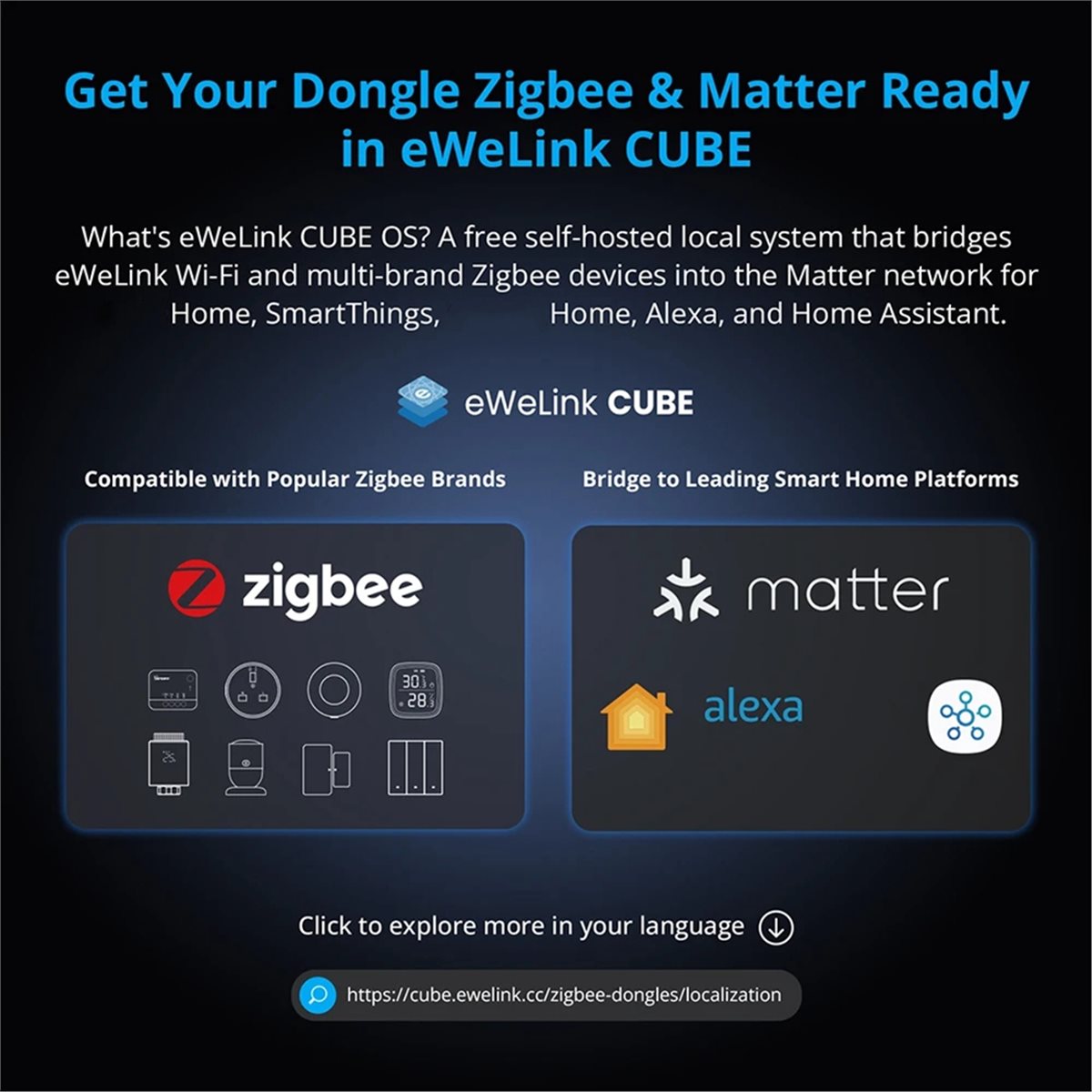 Dongle Plus MG24 Zigbee Thread – Smart Home Plus recenzja i cena